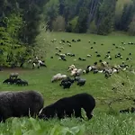 Leśny Zakątek-domek Na Przełęczy Knurowskiej * Ochotnica Górna