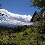 Leśny Zakątek-domek Na Przełęczy Knurowskiej Domek alpejski