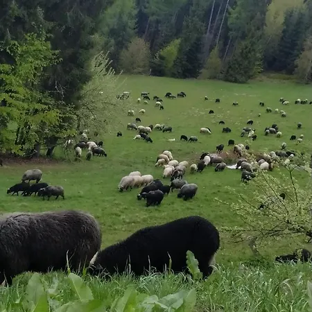 Domek W Gorcach * Ochotnica Górna